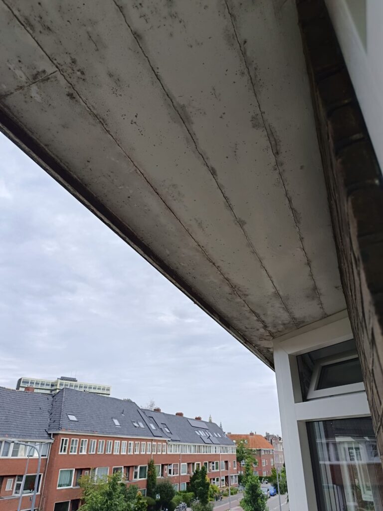 Buiten Schilderwerk - foto 3